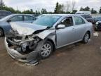2009 TOYOTA COROLLA BASE   for sale at Copart ON - TORONTO