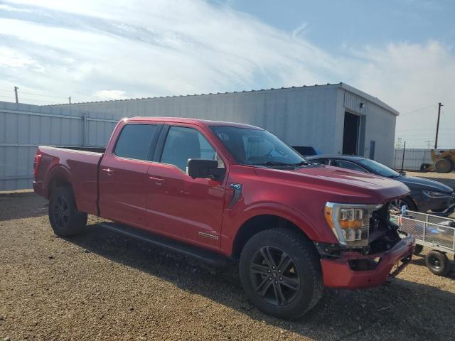  FORD F-150 2021 Красный