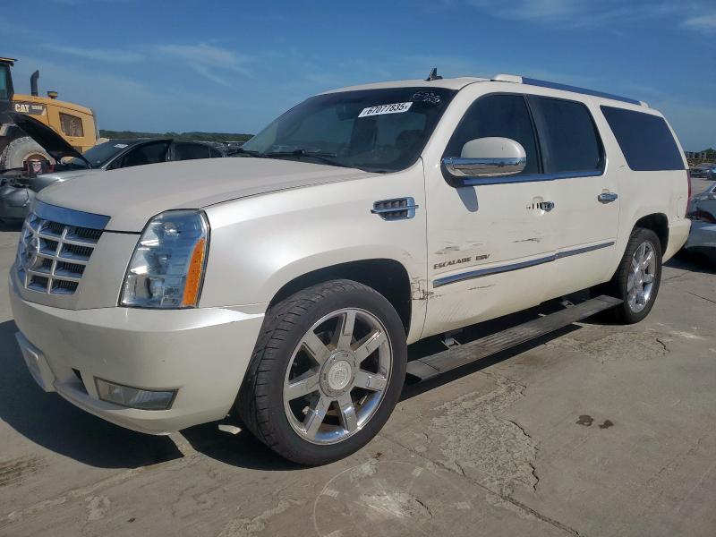 2010 CADILLAC ESCALADE ESV PREMIUM   à vendre chez Copart TX - DALLAS