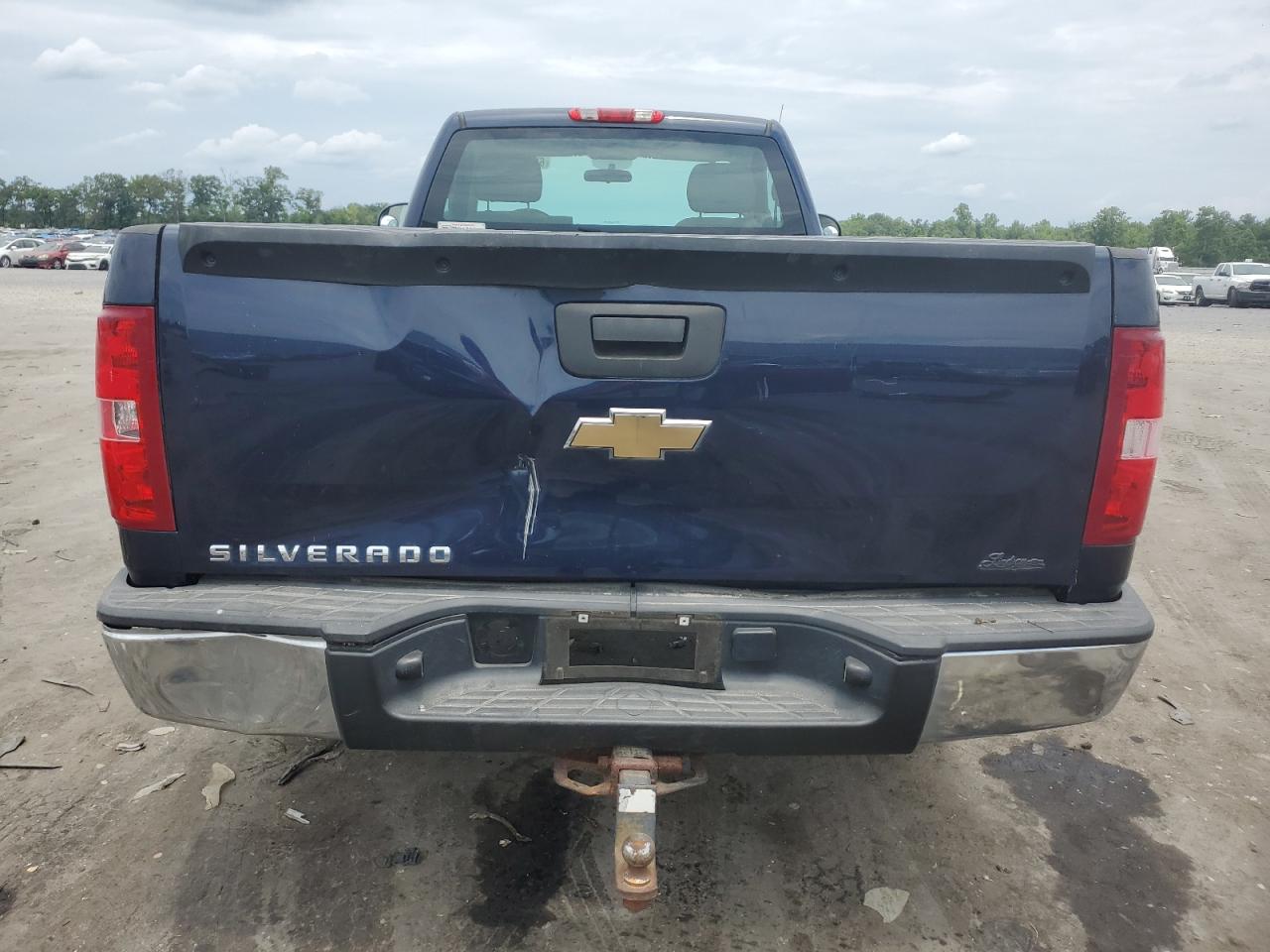 2011 Chevrolet Silverado C1500 VIN: 1GCNCPEX8BZ196229 Lot: 65546605
