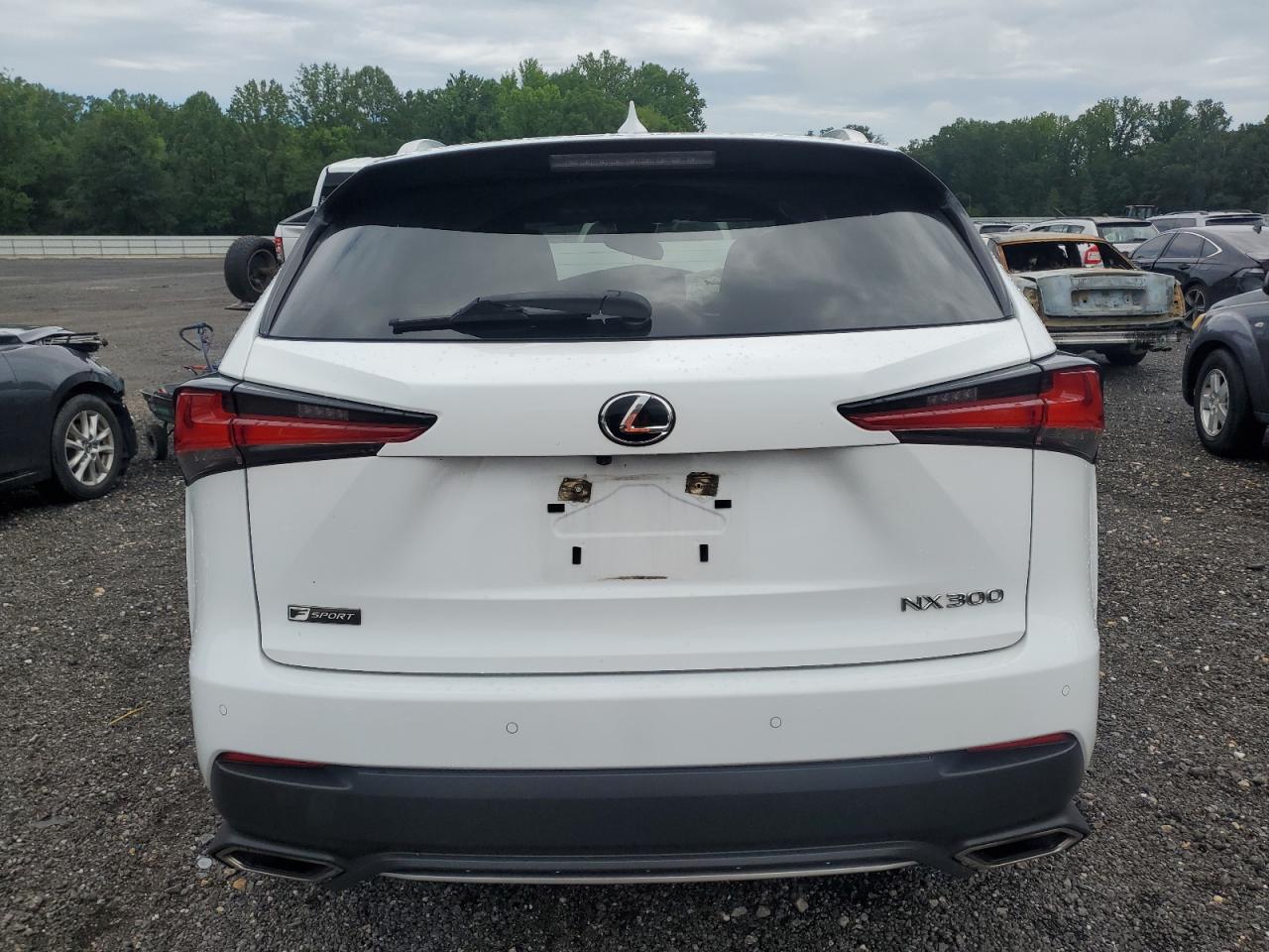 2021 Lexus Nx 300 Base VIN: JTJSARDZ0M5028308 Lot: 63190055