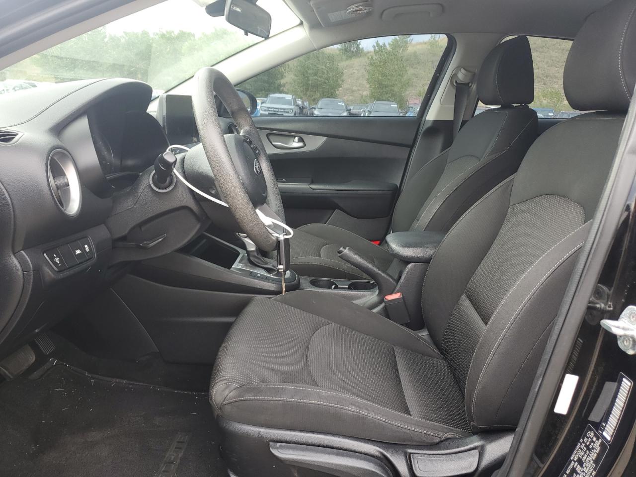 2019 Kia Forte Fe VIN: 3KPF24AD4KE010215 Lot: 64791535
