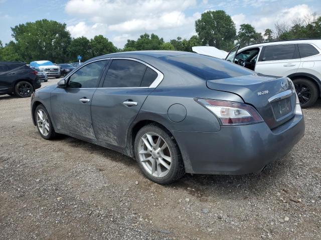  NISSAN MAXIMA 2014 Gray