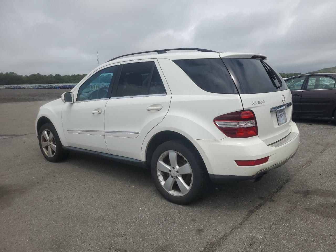 2010 Mercedes-Benz Ml 350 4Matic white null gas 4JGBB8GBXAA561497 photo #3