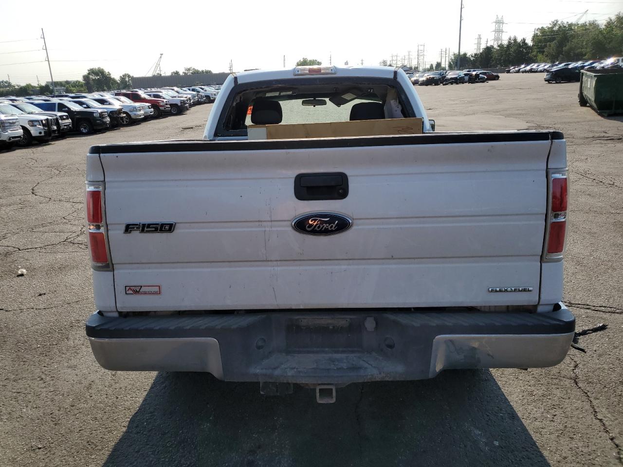 2013 Ford F150 VIN: 1FTMF1CM6DKG34217 Lot: 66013275