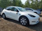 2023 TESLA MODEL Y    for sale at Copart ON - COOKSTOWN