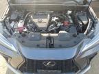 2024 LEXUS NX 350 LUXURY   for sale at Copart ON - COOKSTOWN