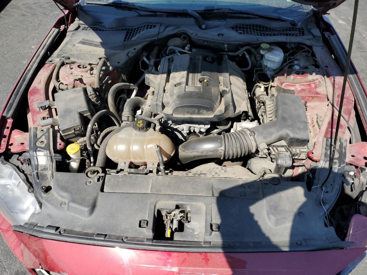 2019 Ford Mustang VIN: 1FA6P8TH6K5202858 Lot: 63028285