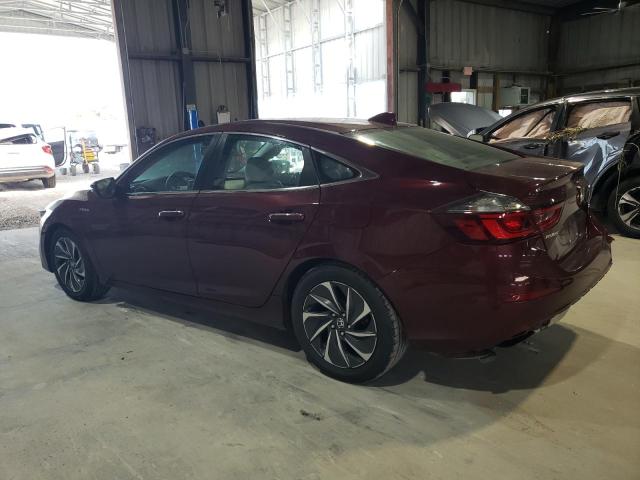  HONDA INSIGHT 2019 Maroon