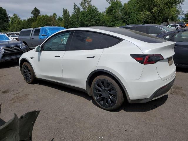  TESLA MODEL Y 2022 White