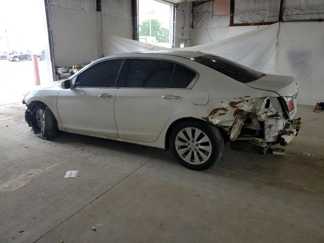  HONDA ACCORD 2013 Білий