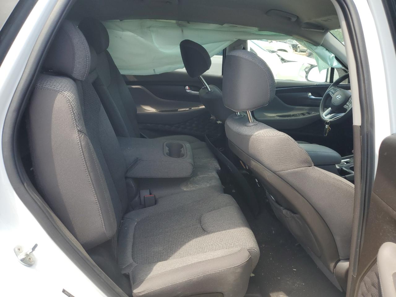 2020 Hyundai Santa Fe Sel VIN: 5NMS3CAD1LH139710 Lot: 66304875