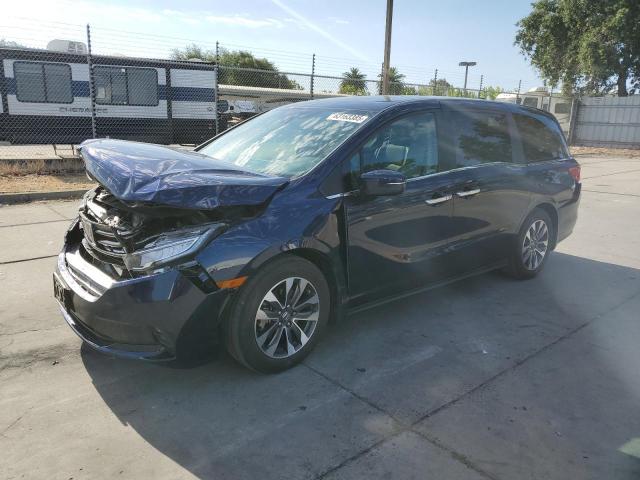  HONDA All Models 2023 Blue