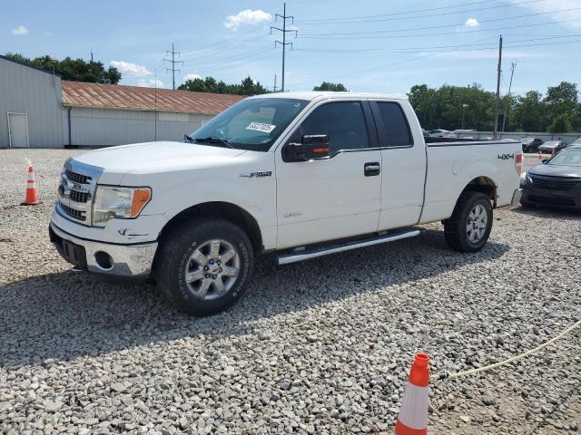  FORD F-150 2013 White