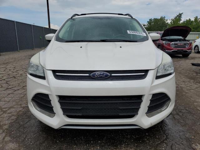 Паркетники FORD ESCAPE 2013 Белы