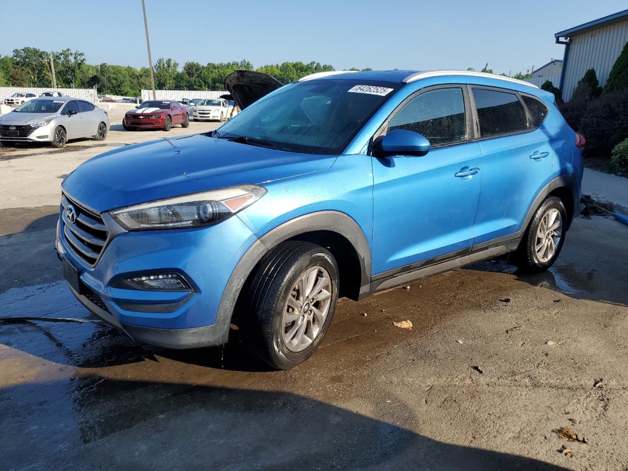 2016 Hyundai Tucson Limited VIN: KM8J3CA41GU073780 Lot: 64262525
