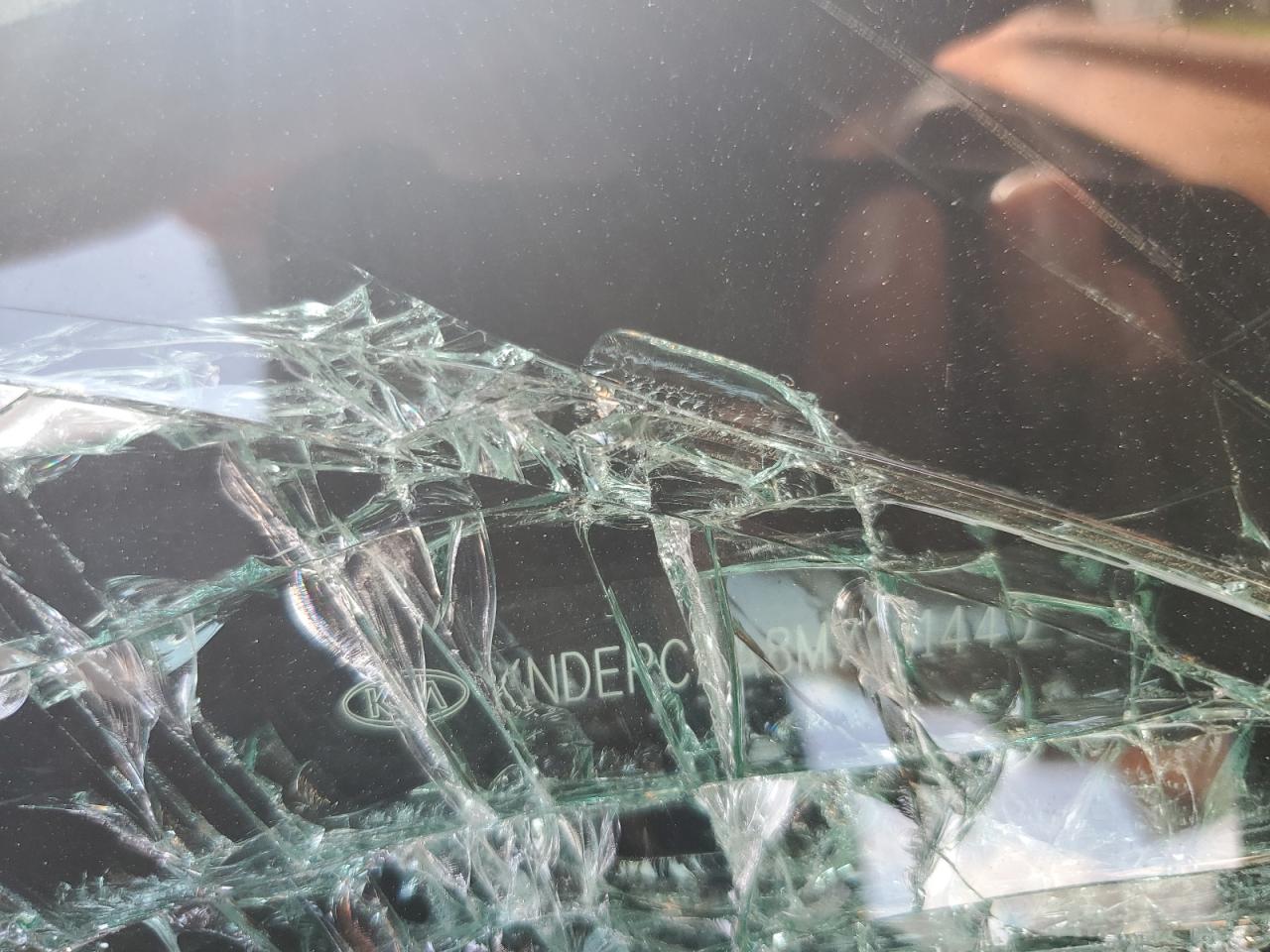 2021 Kia Seltos Lx VIN: KNDEPCAA8M7211440 Lot: 65185295