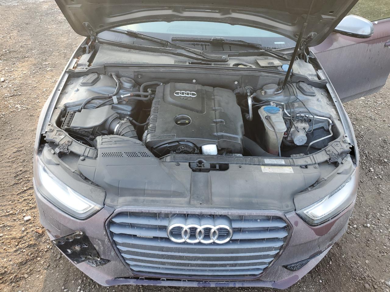 2013 Audi A4 Premium Plus VIN: WAUFFCFL7DN005469 Lot: 63058165