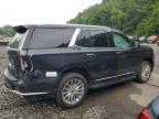 2024 CADILLAC ESCALADE PREMIUM LUXURY   for sale at Copart NY - NEWBURGH