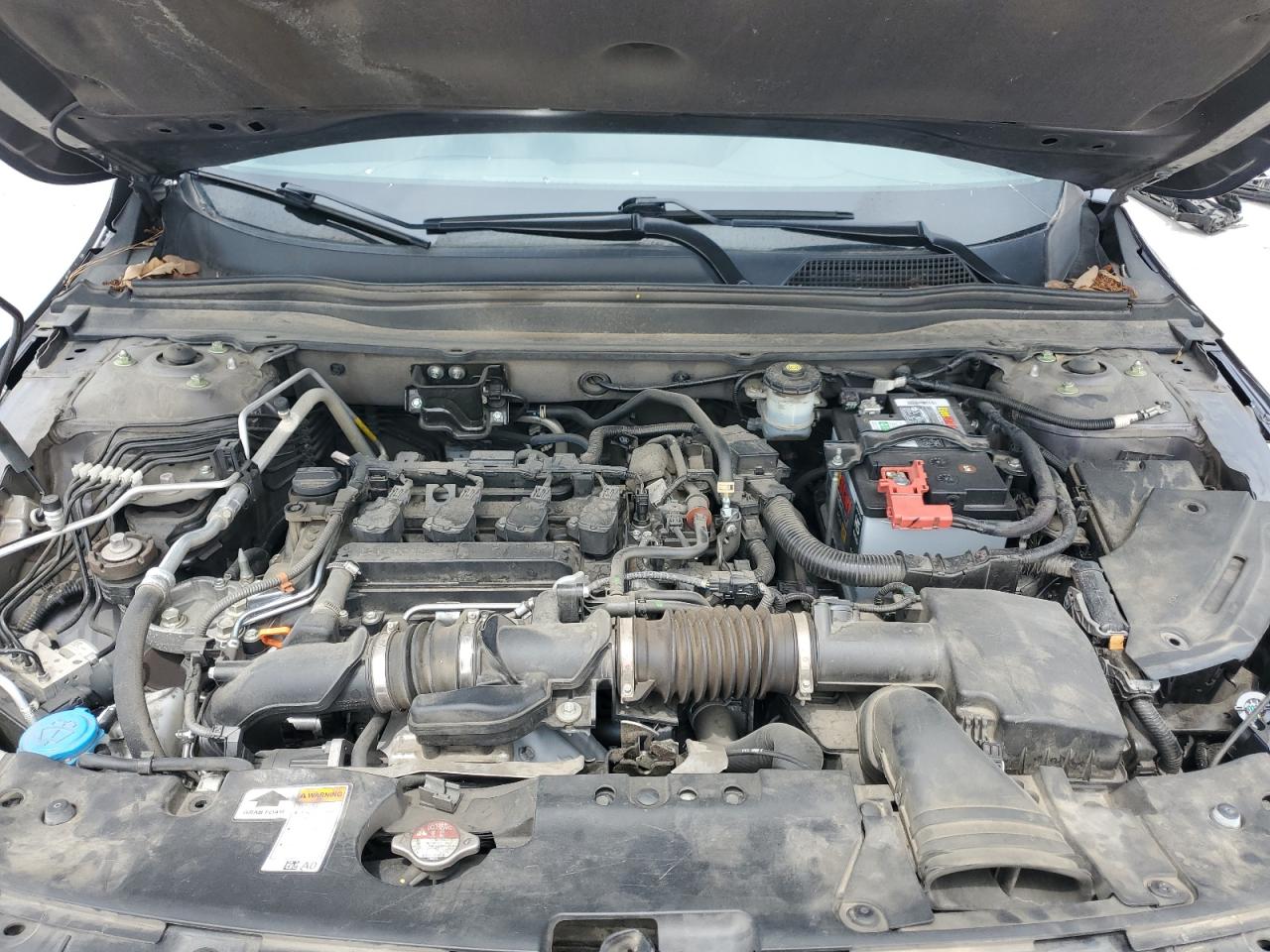 2021 Honda Accord Lx VIN: 1HGCV1F19MA065449 Lot: 65019555