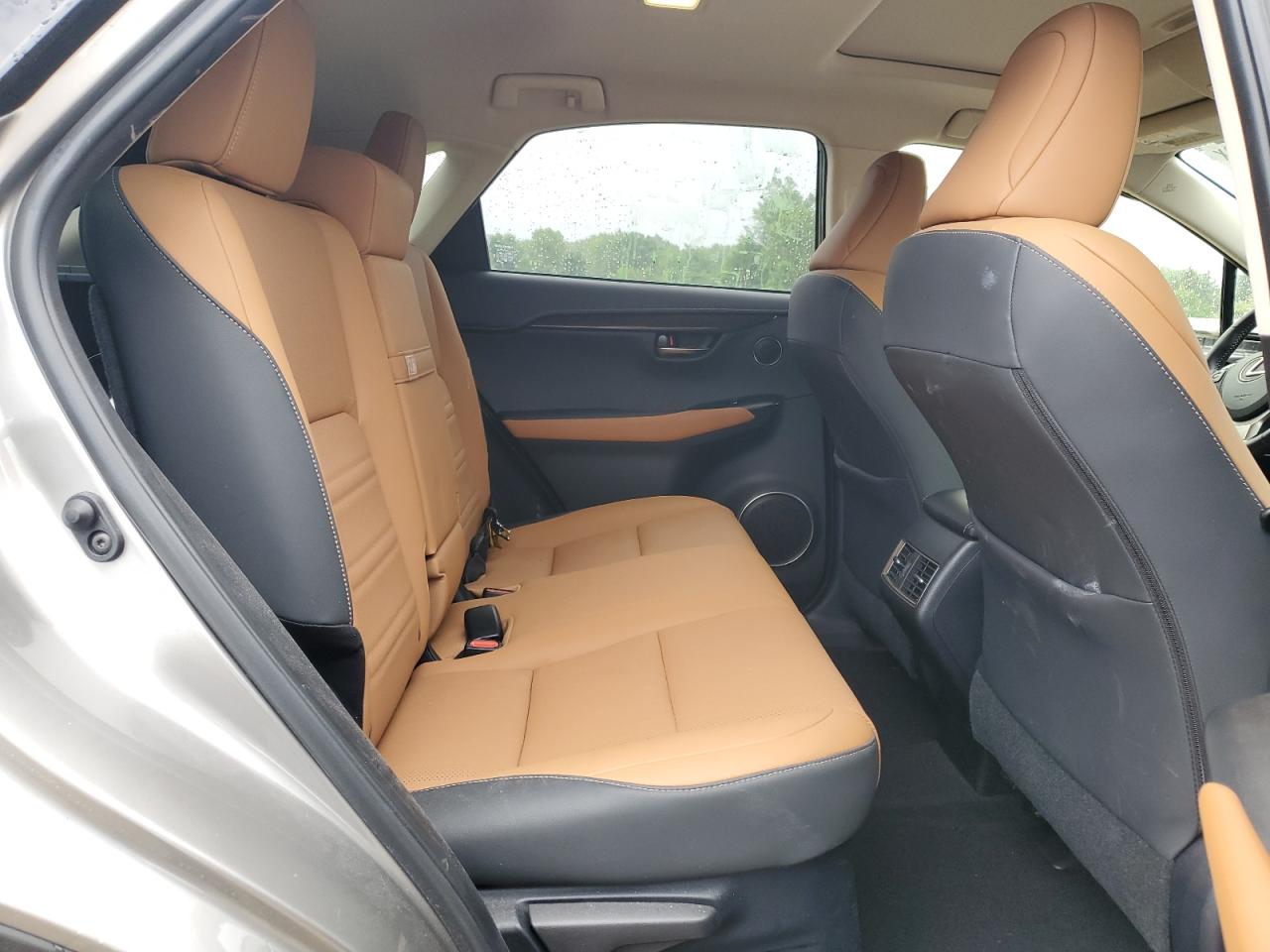 2020 Lexus Nx 300 VIN: JTJDARDZXL5015637 Lot: 64576755