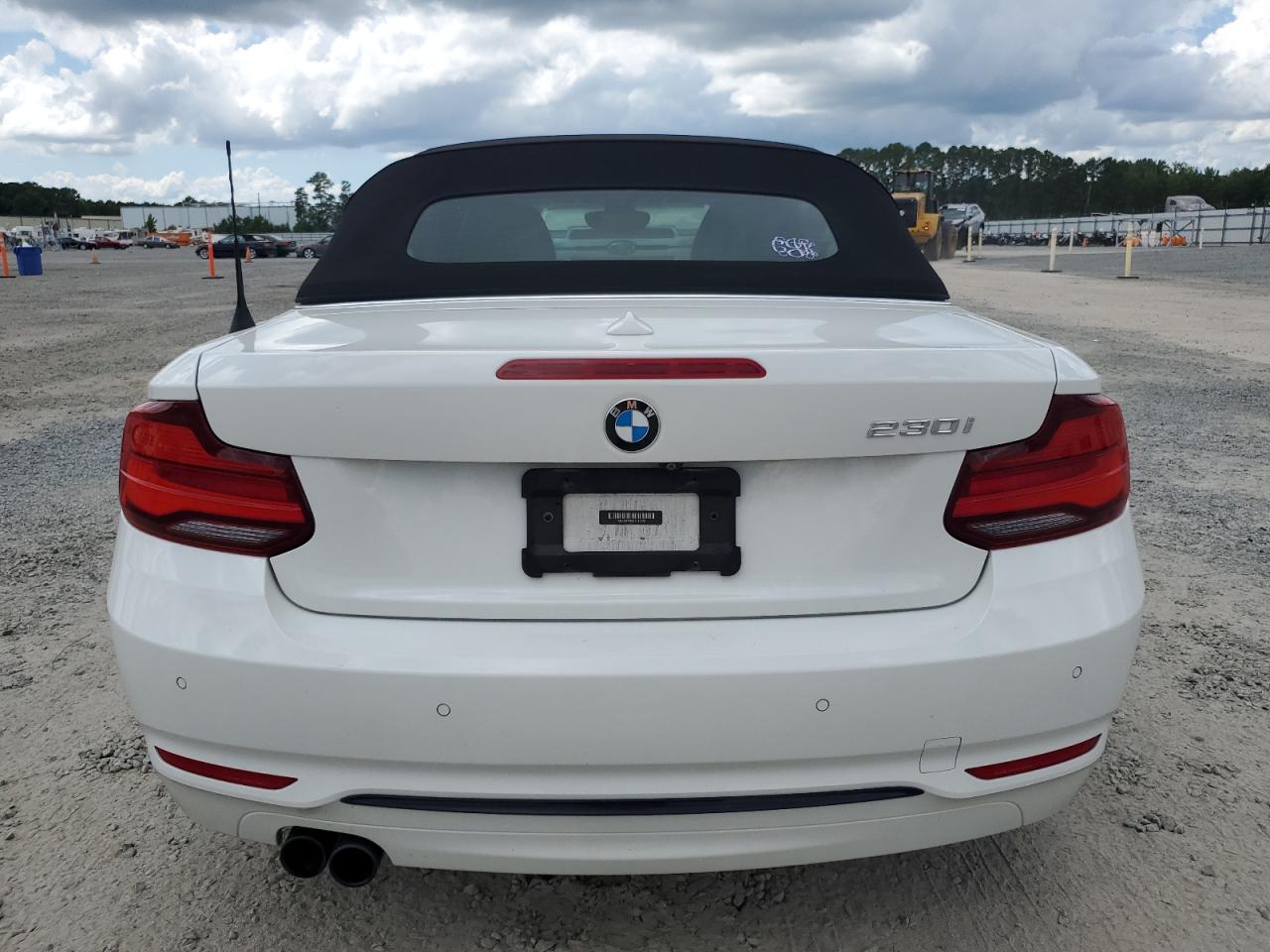 2020 BMW 230I VIN: WBA2M7C06L7E19855 Lot: 64803345