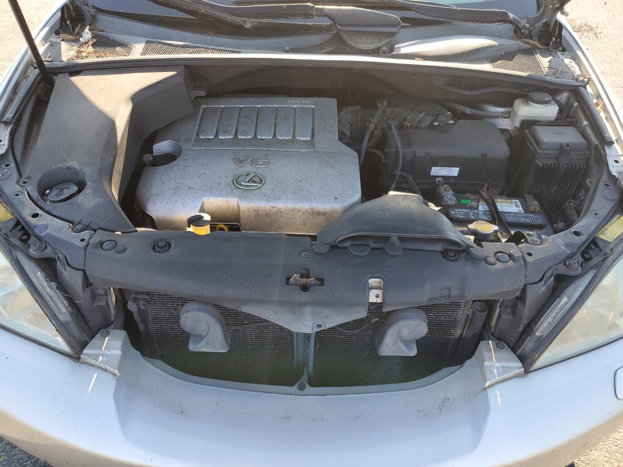 2007 Lexus Rx 350 VIN: 2T2HK31U87C043996 Lot: 63806685