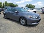 2013 HONDA ACCORD LX   à vendre chez Copart CT - HARTFORD SPRINGFIELD