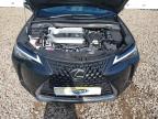 2023 LEXUS UX 250H 4X for sale at Copart WISBECH