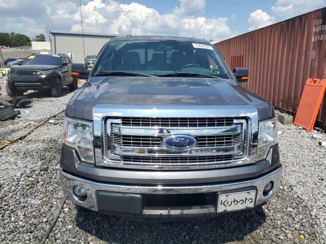  FORD F-150 2013 Szary