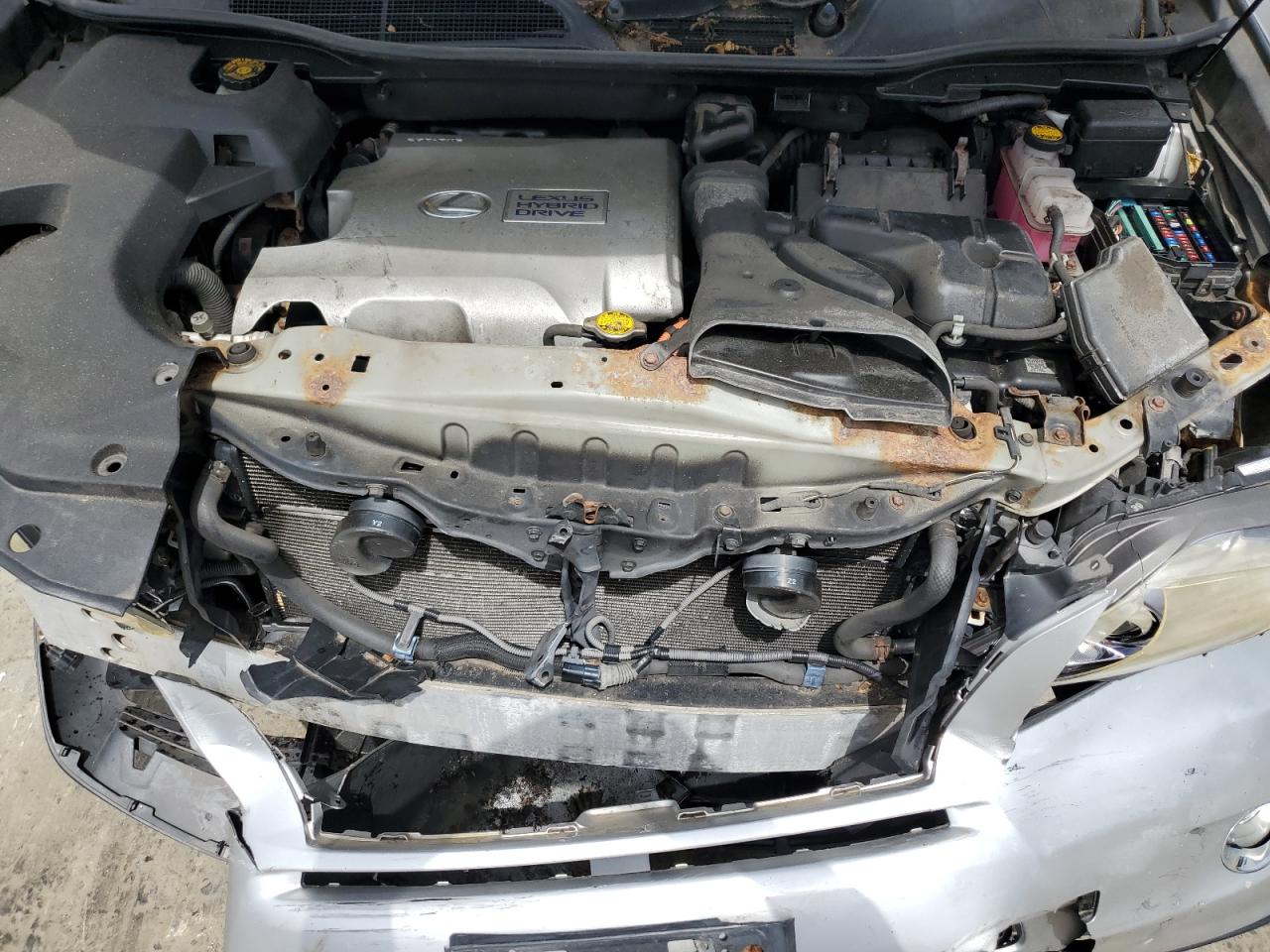 2010 Lexus Rx 450H VIN: JTJBC1BA7A2407067 Lot: 64302105