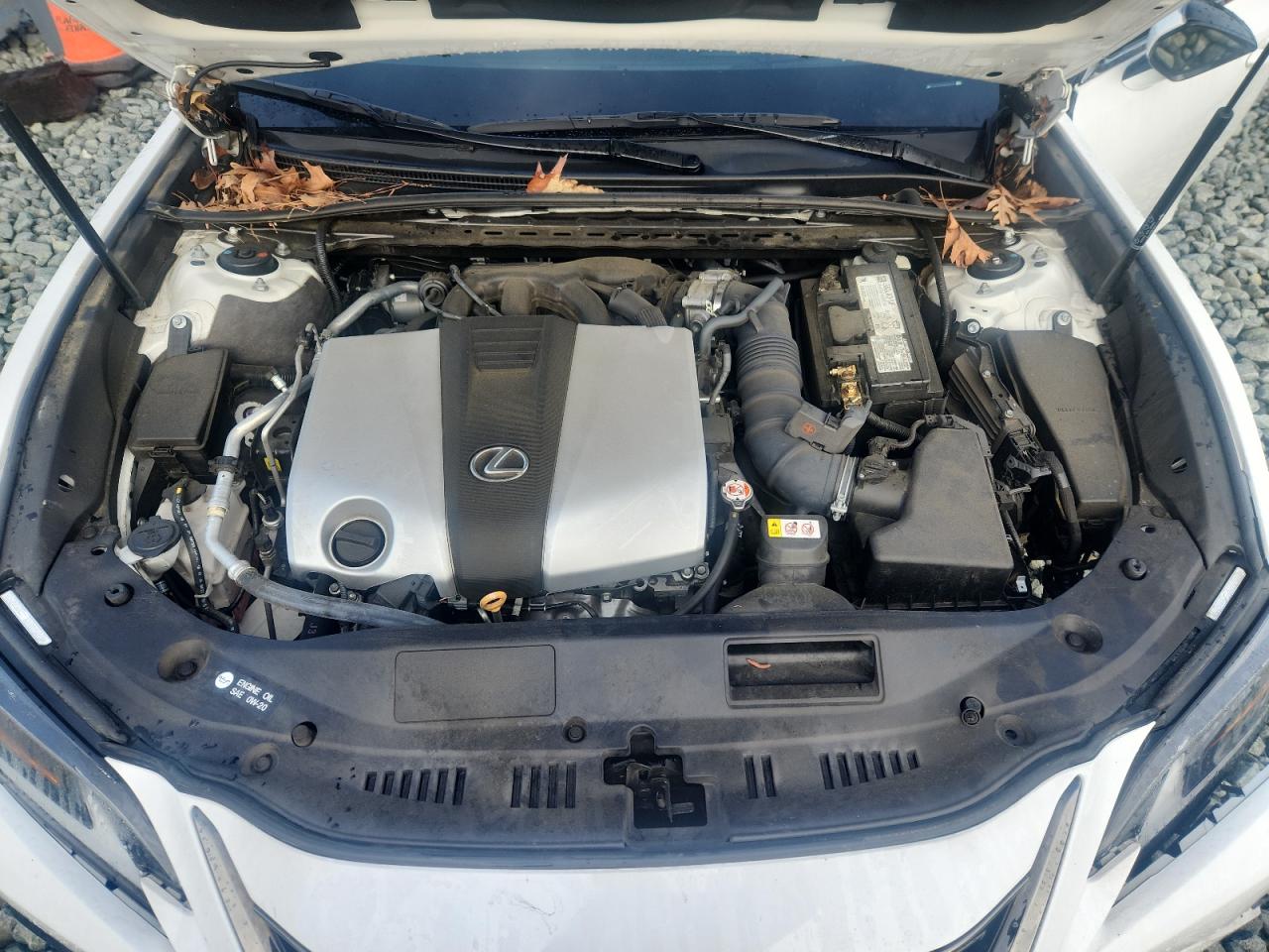 2021 Lexus Es 350 Base VIN: 58AGZ1B13MU109331 Lot: 64562355