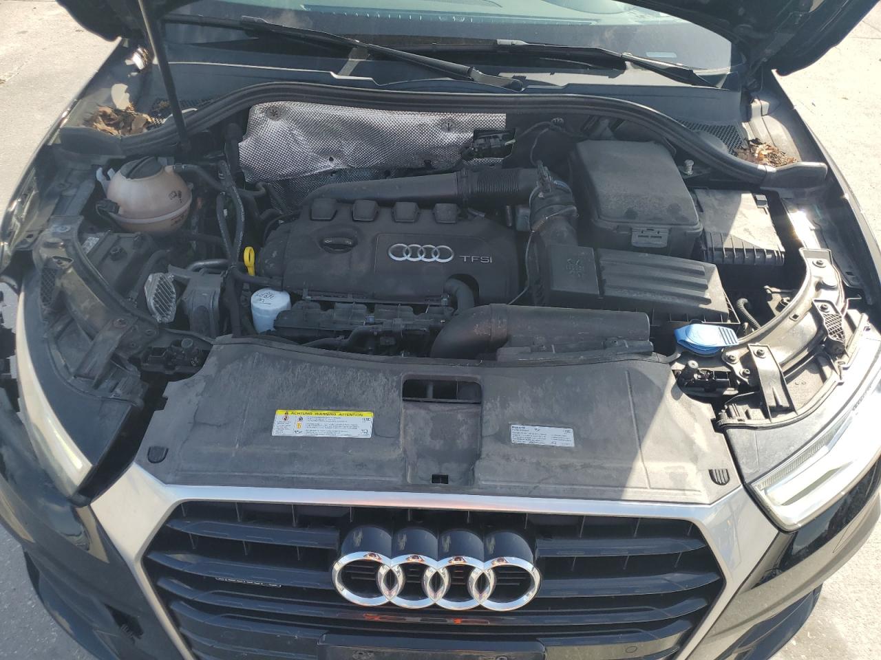 2016 Audi Q3 Premium Plus VIN: WA1EFCFS9GR017698 Lot: 64338965
