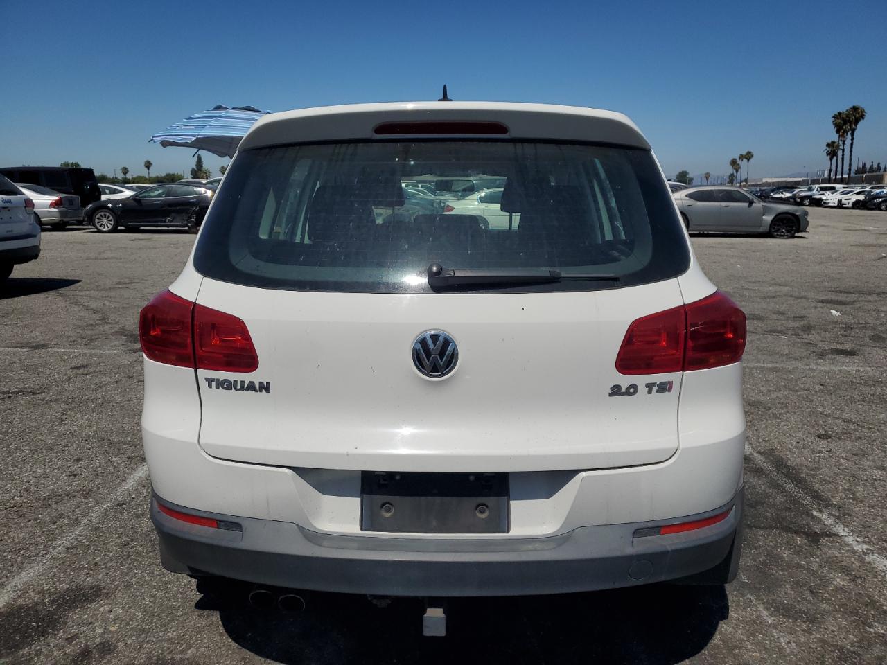 2013 Volkswagen Tiguan S VIN: WVGAV3AX9DW624381 Lot: 63289145