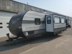 2019 FOREST RIVER SALEM 30QBSS for sale at Copart MN - MINNEAPOLIS NORTH