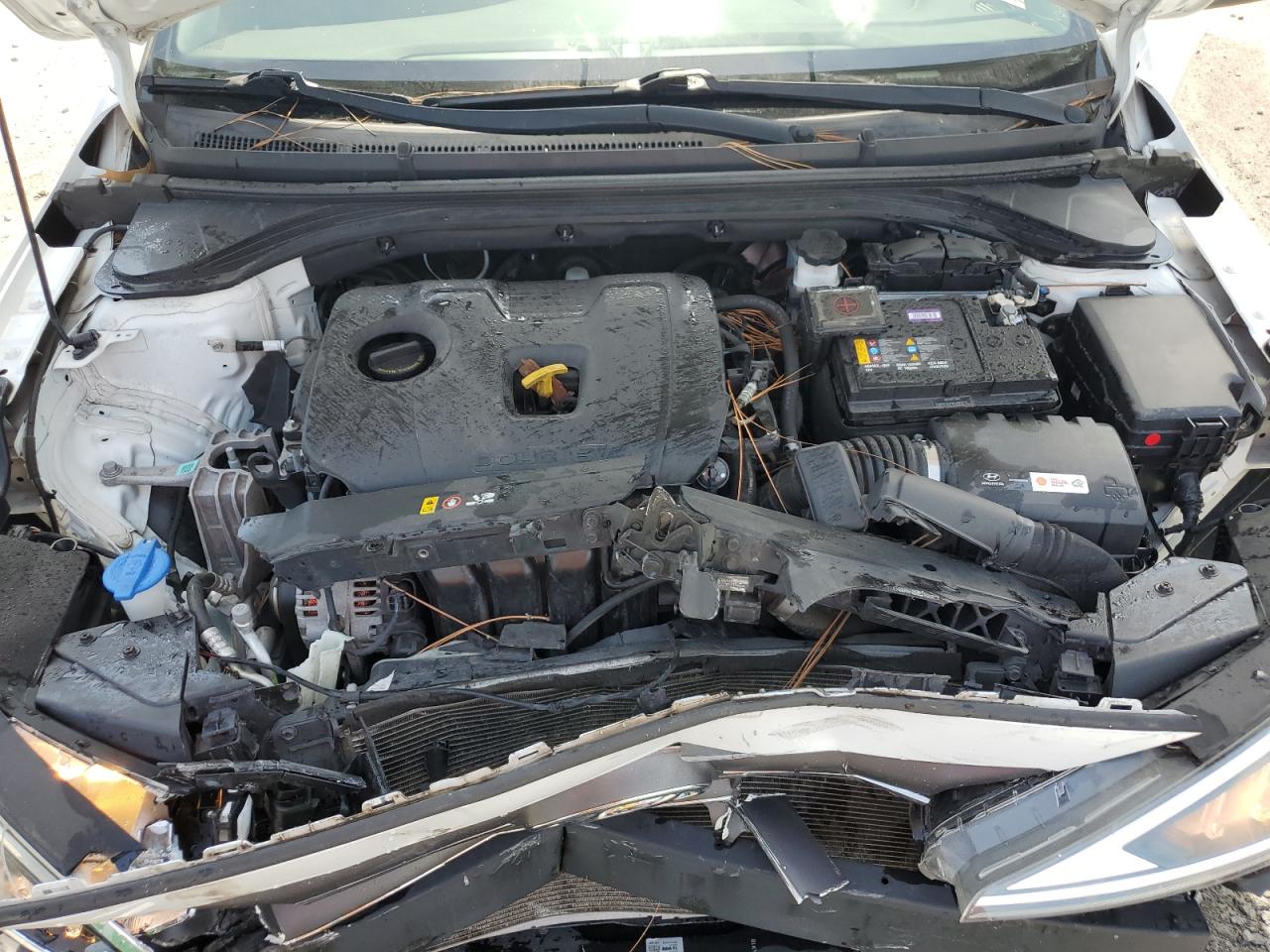 2019 Hyundai Elantra Se VIN: 5NPD74LF9KH440096 Lot: 64182945