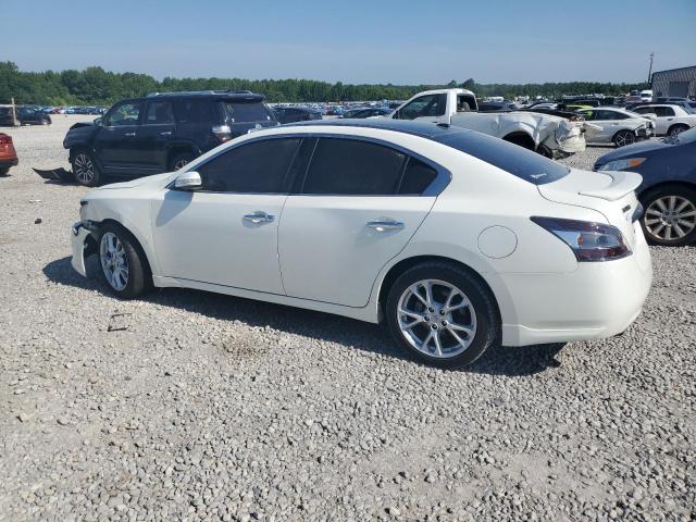  NISSAN MAXIMA 2014 White