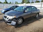 2009 TOYOTA COROLLA BASE   for sale at Copart ON - TORONTO