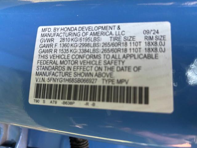 2025 HONDA PILOT TRAILSPORT  
