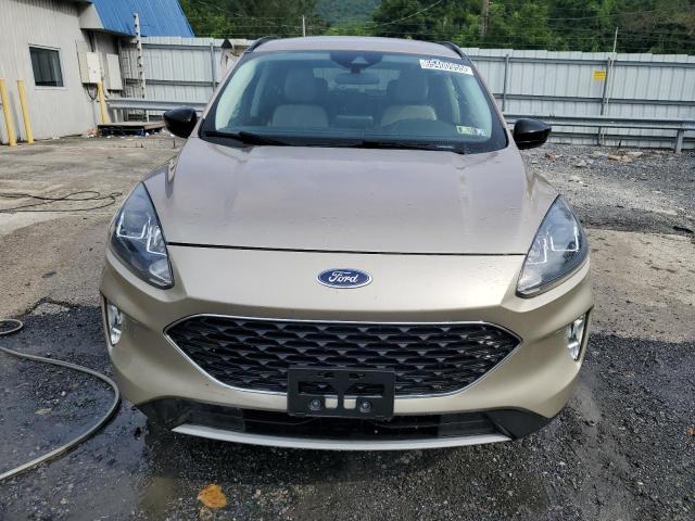  FORD ESCAPE 2021 Gold