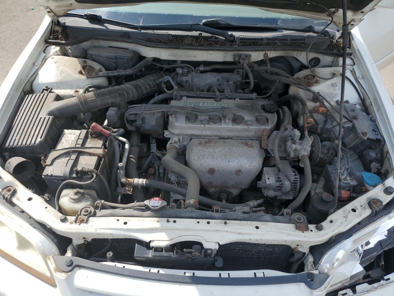2001 Honda Accord Ex VIN: JHMCG66801C007490 Lot: 64178815