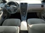 2009 TOYOTA COROLLA BASE   for sale at Copart ON - TORONTO