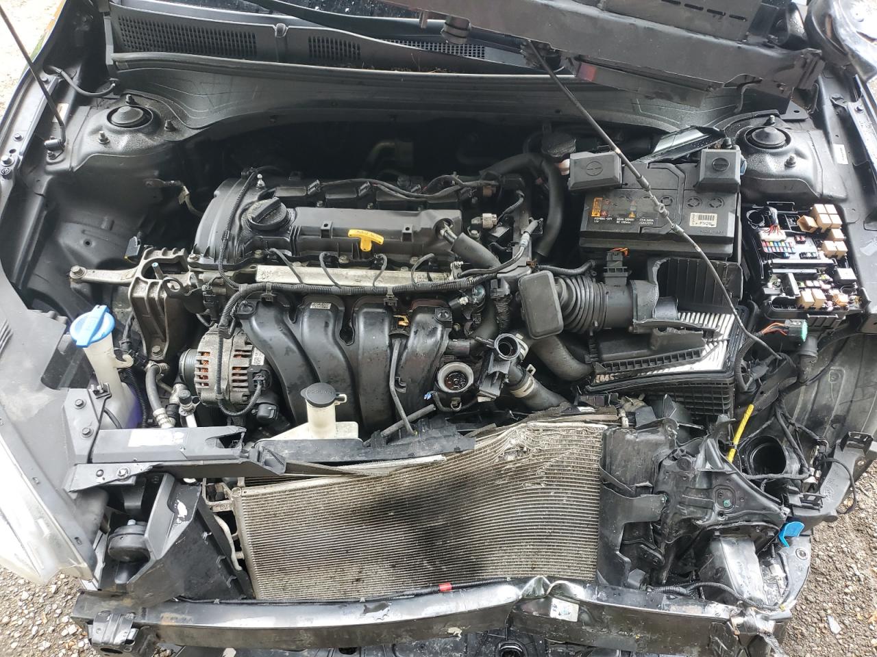 2021 Kia Forte Ex VIN: 3KPF54AD3ME317868 Lot: 64573635