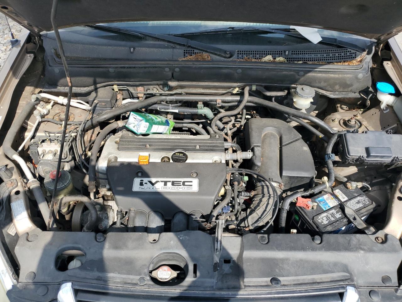 2003 Honda Cr-V Ex VIN: SHSRD78853U124083 Lot: 62561565