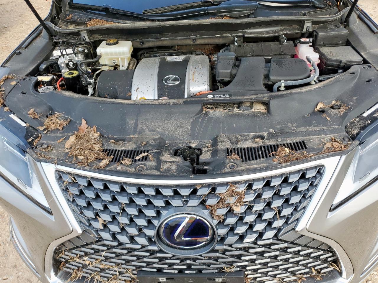 2022 Lexus Rx 450H VIN: 2T2HGMDA1NC085058 Lot: 64649115