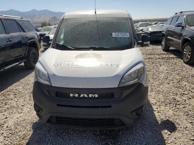  RAM All Models 2020 White