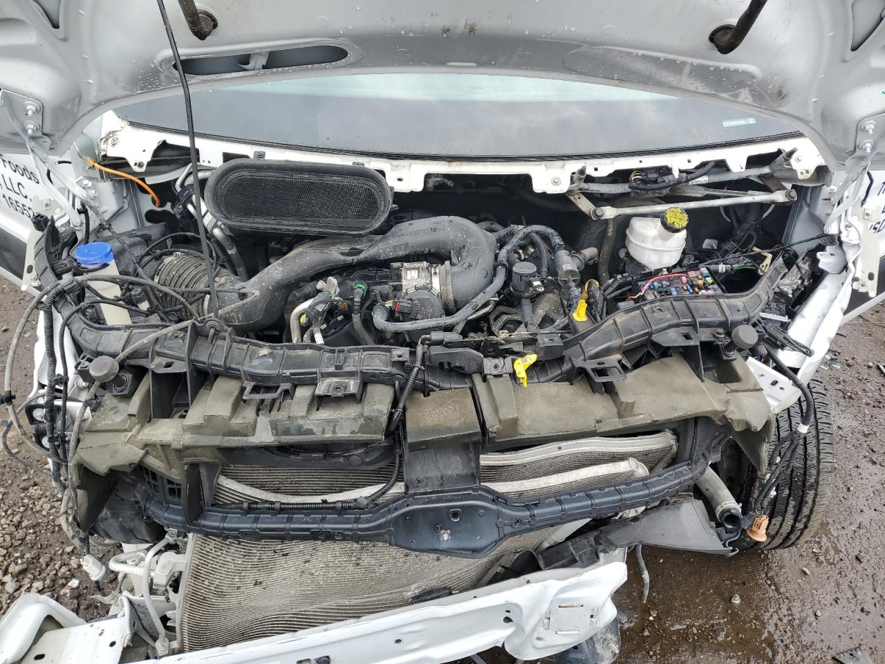 2023 Ford Transit T-250 VIN: 1FTBR1C89PKB09934 Lot: 64661525