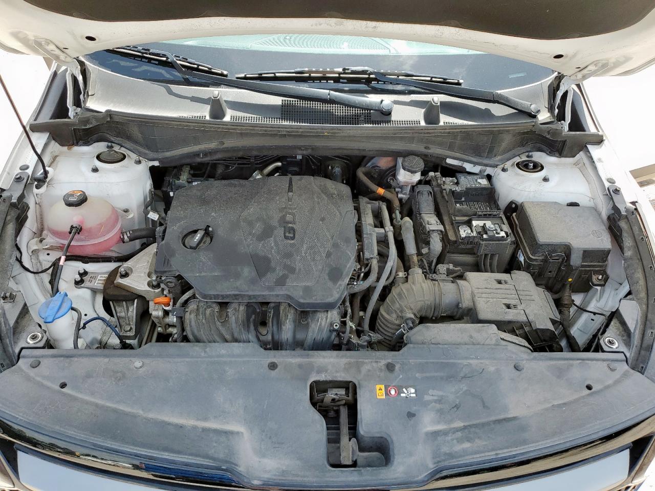2023 Kia Sportage X-Pro VIN: 5XYK7CAF8PG057933 Lot: 65135175