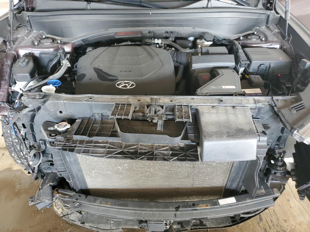2020 Hyundai Palisade Sel VIN: KM8R4DHEXLU167221 Lot: 63323375