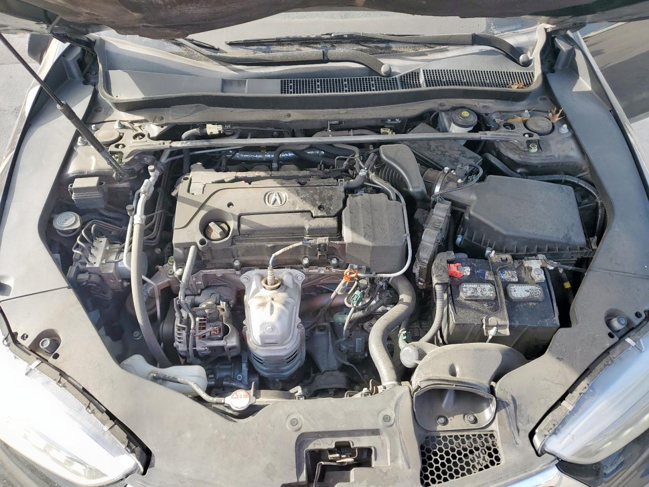 2019 Acura Tlx Technology VIN: 19UUB1F50KA010353 Lot: 65192355